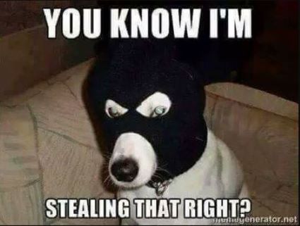 Masked Doggo.JPG